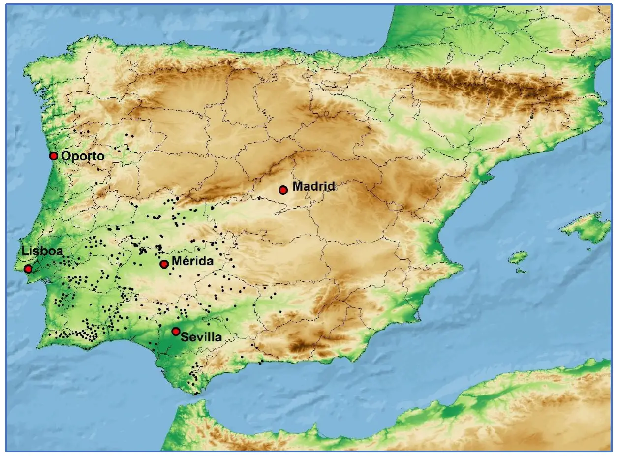 Distribución de Phytophthora cinnamomi en la península ibérica. Los puntos representan aislamientos positivos del patógeno en masas de encina o alcornoque (7-10).