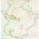 Actualizado el mapa alcornocal de Extremadura