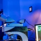 CICYTEX ofrece su ayuda técnica para restaurar alcornocales incendiados