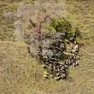 Un sistema de alerta de propagación de La Seca